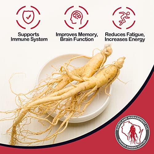 Top-Quality Wholesale American Ginseng Roots - Fresh, Authentic, and Nutrient-Rich - Dairyland Ginseng