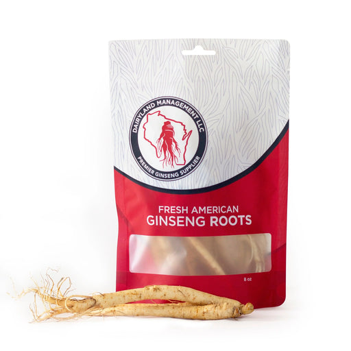 Fresh Wisconsin American Ginseng Roots - Dairyland Ginseng
