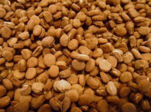 American Ginseng Seeds - 2 oz - Dairyland Ginseng