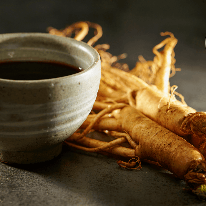 Wisconsin ginseng tea in ceramic cup with fresh American ginseng roots, natural and farm-grown