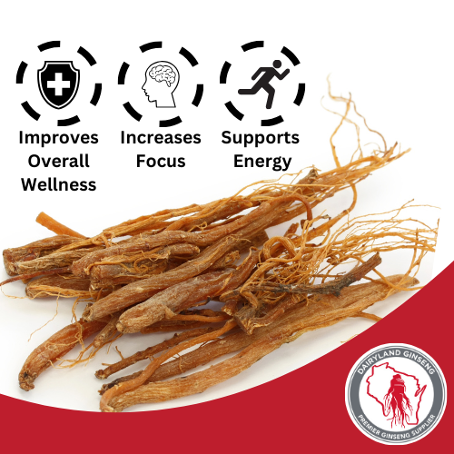 Red Korean Panax Ginseng Extract